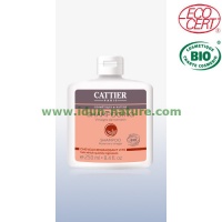 Champ� Bio para cabello graso con Vinagre de Romero CATTIER